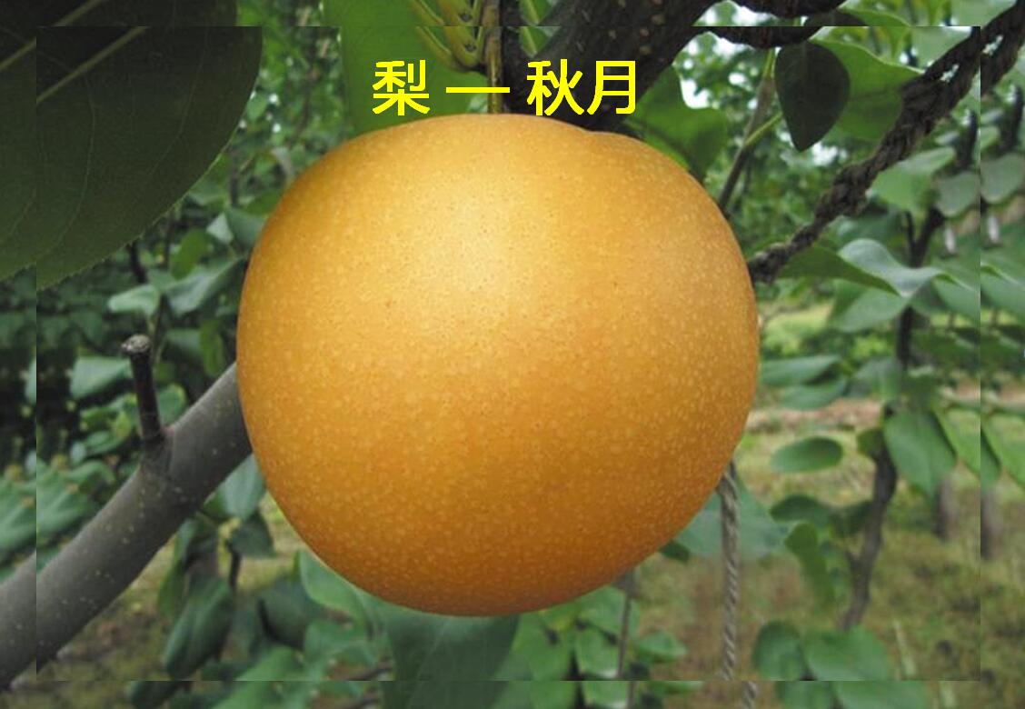 BWINӮ(й)Ψһٷվ
