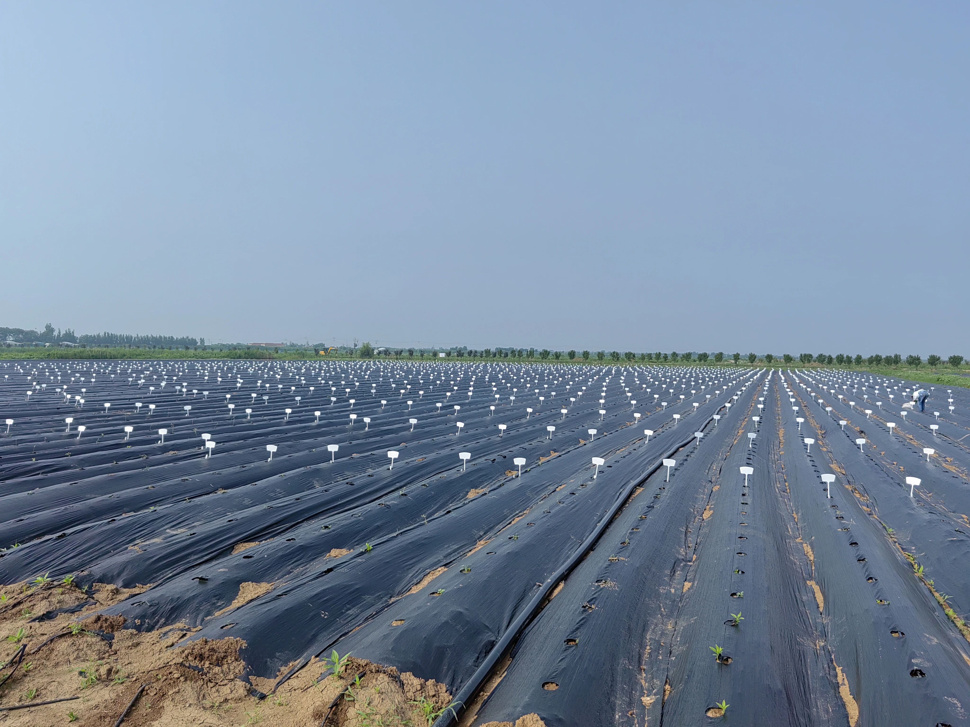 BWIN·必赢(中国)唯一官方网站