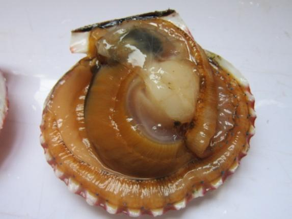 BWIN·必赢(中国)唯一官方网站