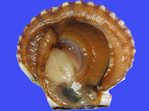 BWIN·必赢(中国)唯一官方网站